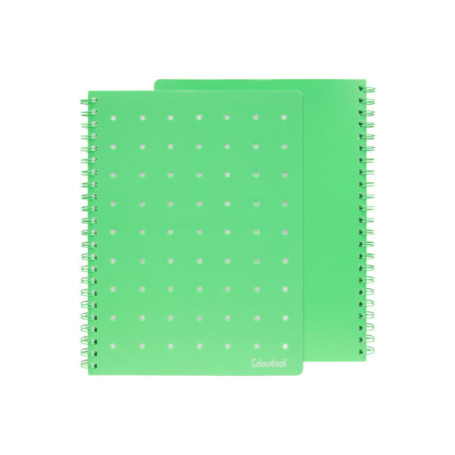 QUADERNO A6 SPIRALATO PIN-IT 1RIGO VERDE COLOURBOOK