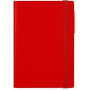 AGENDA 12 MESI GIORNALIERA MEDIUM-RADIAN RED  LEGAMI