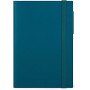 AGENDA 12 MESI GIORNALIERA MEDIUM-TEAL BLU LEGAMI