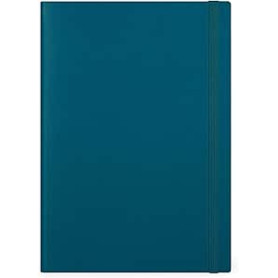 AGENDA 12 MESI GIORNALIERA MAXI TEAL BLUE LEGAMI