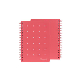 QUADERNO SPIRALATO PIN-IT ROSSO 1RIGO COLOURBOOK